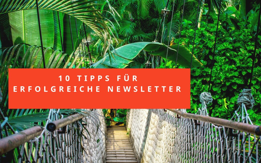 10 Tipps um erfolgreiche Newsletter zu erstellen, die auch gelesen werden.
